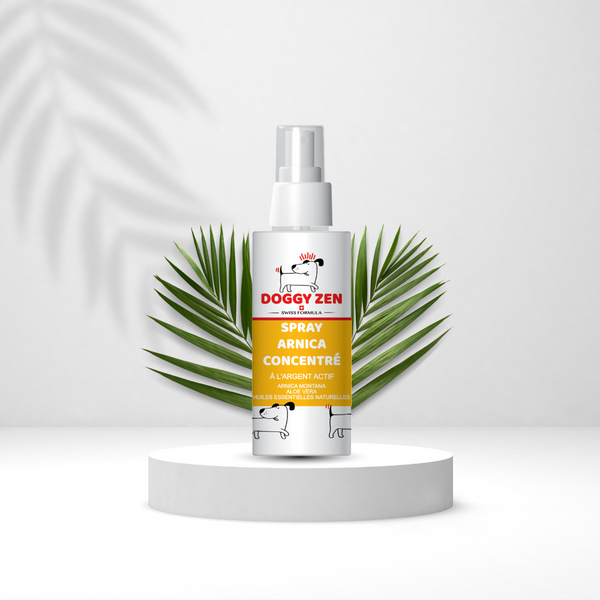 Spray arnica concentré | DoggyZen